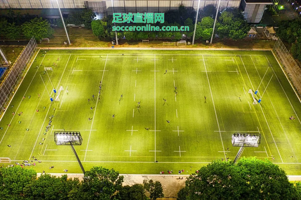 足球直播网欧冠赛事精彩对决
